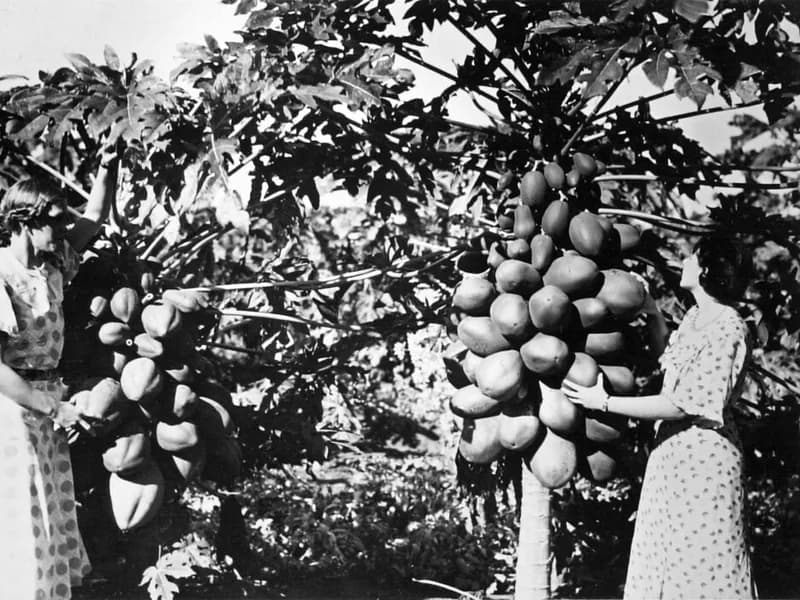 Khu trọ Sao Mai - ảnh 1